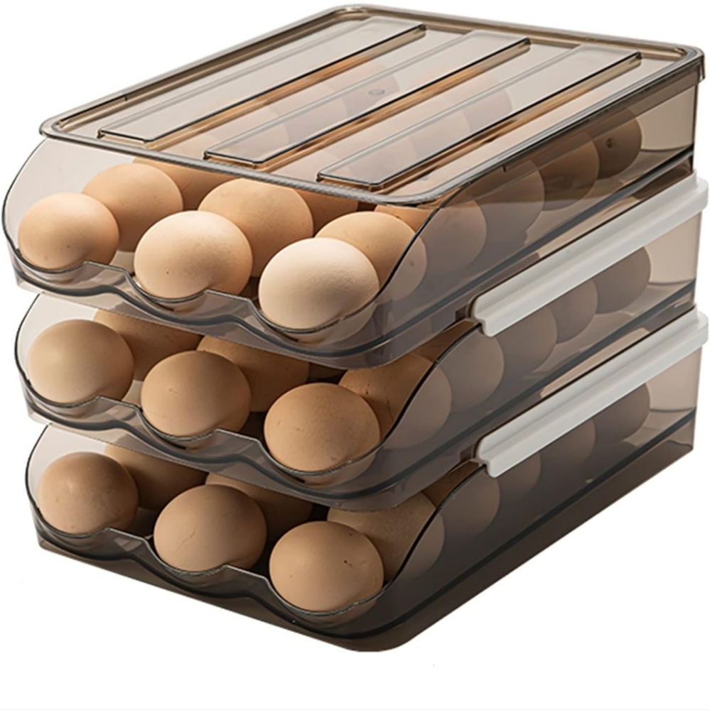 54 Grid Capacity Egg Holder for Refrigerator